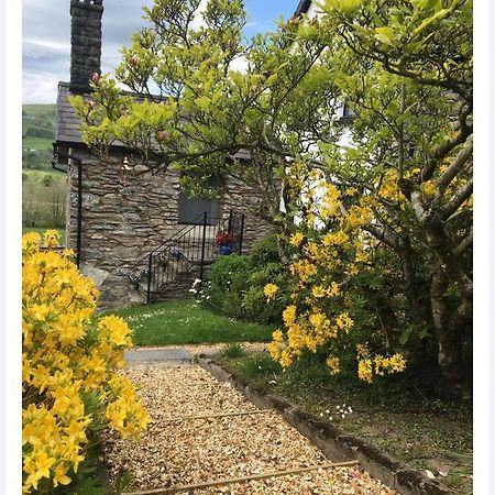 Hares Hideaway At Coed Moelfa Acomodação com café da manhã Corwen Exterior foto