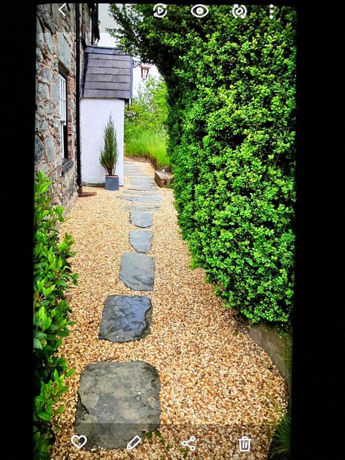 Hares Hideaway At Coed Moelfa Acomodação com café da manhã Corwen Exterior foto