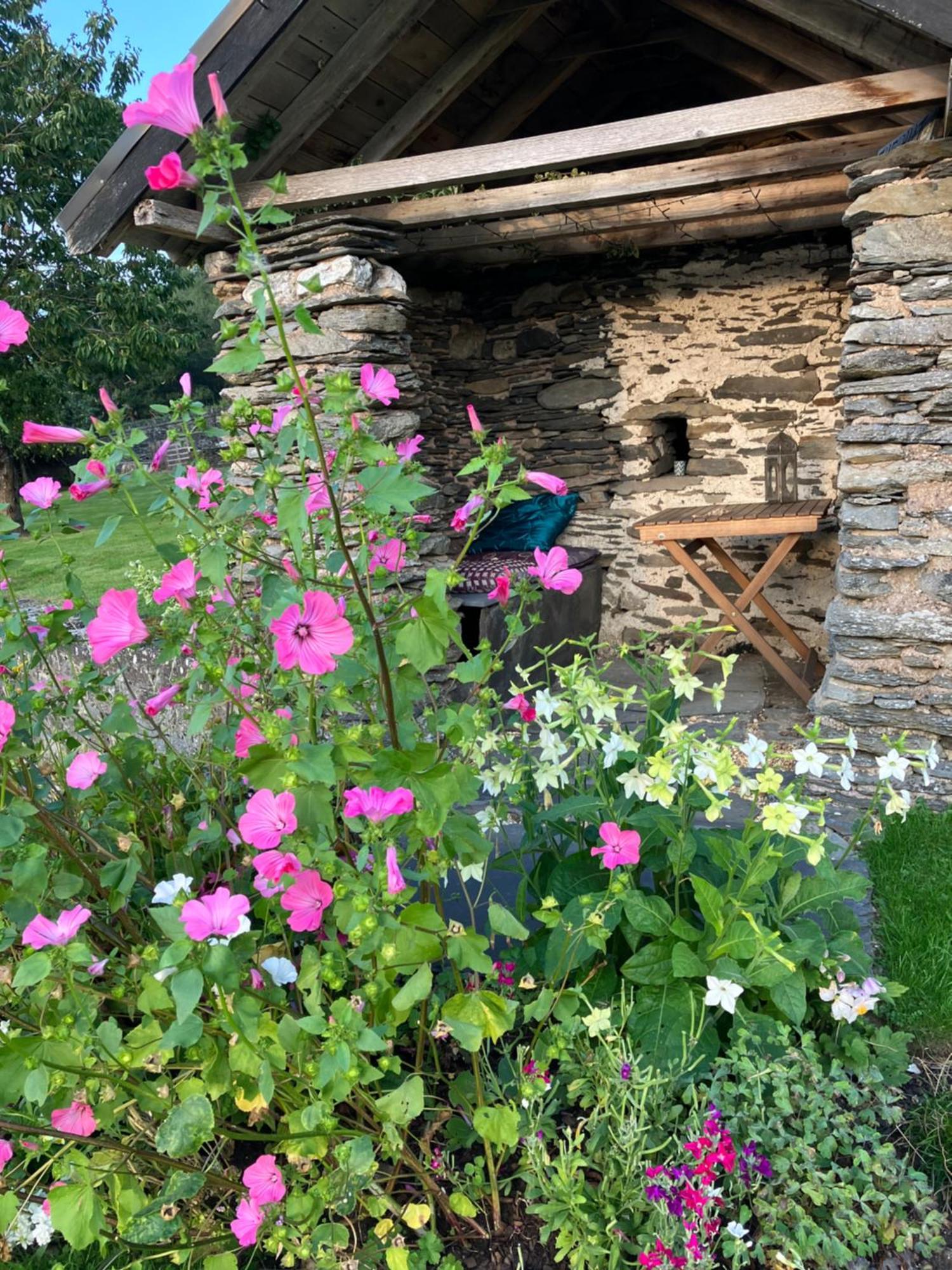 Hares Hideaway At Coed Moelfa Acomodação com café da manhã Corwen Exterior foto